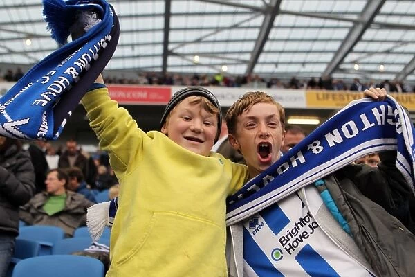 Brighton & Hove Albion FC: Electric Atmosphere at The Amex (2012-2013)