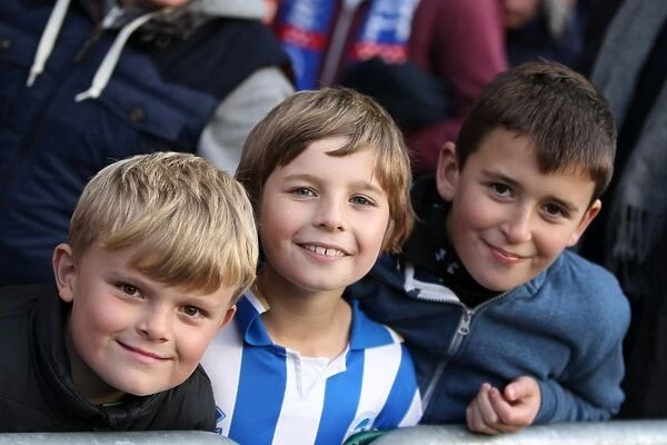 Brighton and Hove Albion FC: Electric Atmosphere in the Stands - Away Days 2012-13