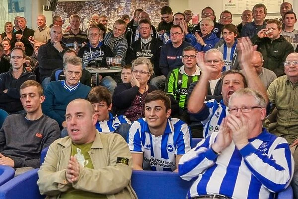 Brighton & Hove Albion FC: The Electric Atmosphere of Amex Stadium (2012-2013) - Crowd Shots