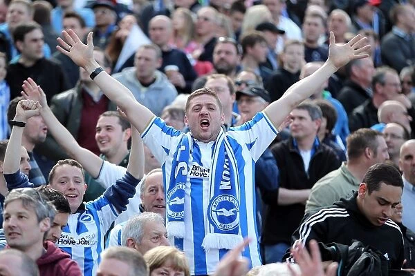 Brighton & Hove Albion FC: Electric Atmosphere - Unforgettable Crowd Moments (2012-2013)
