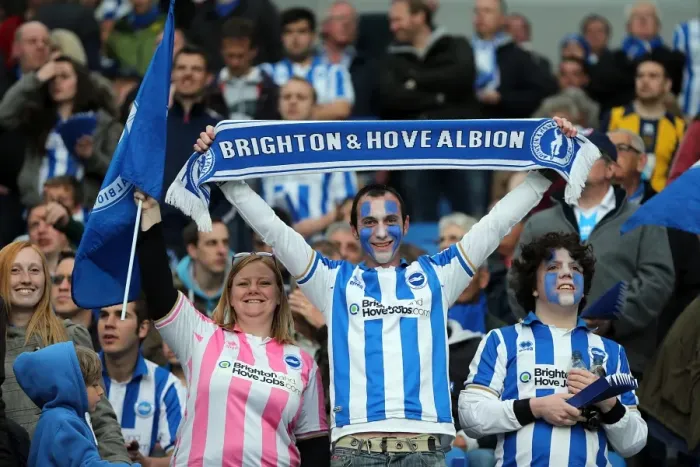 Framed Print : Brighton & Hove Albion FC: Electric Atmosphere at The Amex (2012-2013) - Crowd Shots