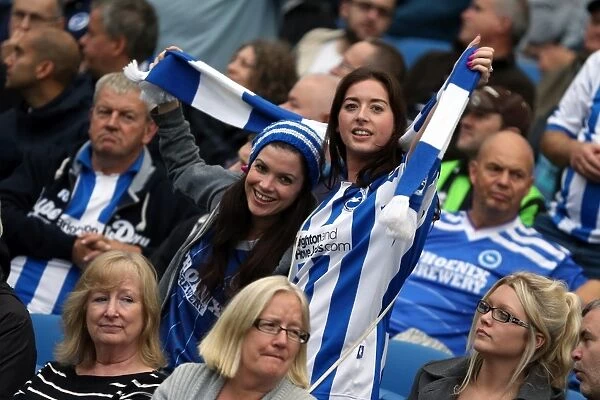 Brighton and Hove Albion FC: Electric Atmosphere at the Amex Stadium - 2013-14 Season (Nottingham Forest Game)