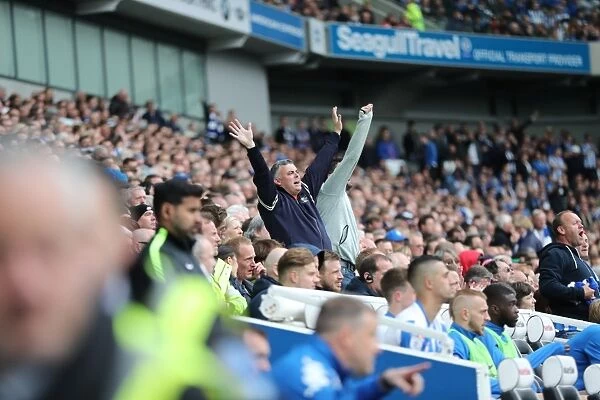 Brighton and Hove Albion FC: Electric Atmosphere Among Fans vs. Wigan Athletic (17APR17) - American Express Community Stadium