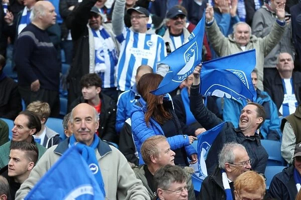 Brighton and Hove Albion FC: Electric Atmosphere Among Fans vs. Wigan Athletic (17APR17)