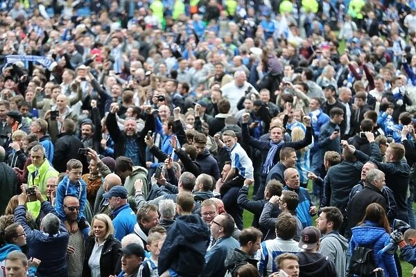 Brighton and Hove Albion FC: Euphoric Fans Celebrate Promotion to Premier League at American Express Community Stadium (vs. Wigan Athletic, 17th April 2017)