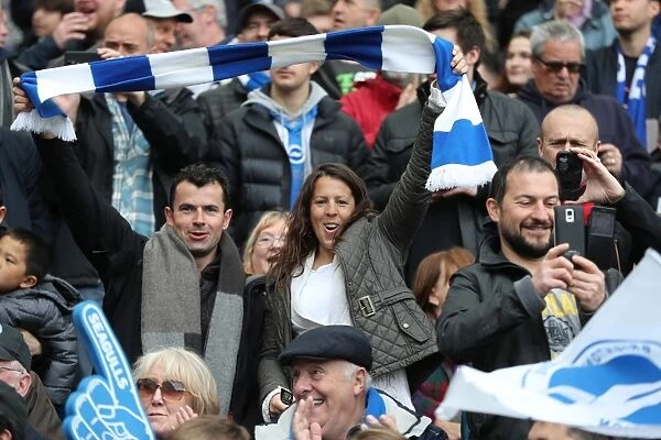 Brighton and Hove Albion FC: Euphoric Fans Celebrate Promotion to Premier League at American Express Community Stadium (17th April 2017 vs. Wigan Athletic)