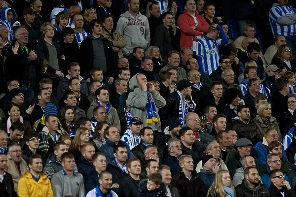 Brighton & Hove Albion FC: North Stand Fans in Action during the Championship Match vs. Reading (April 10, 2012)