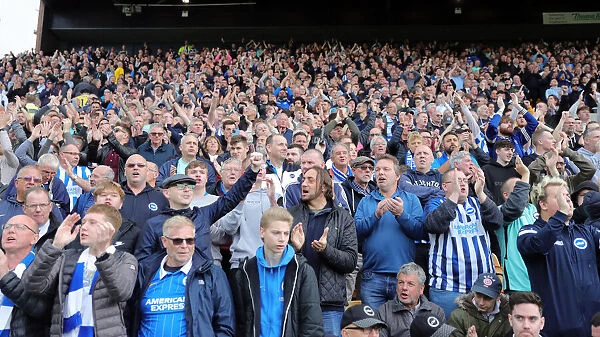 Brighton and Hove Albion FC: Passionate Fans in Full Support at Norwich City (16OCT21)