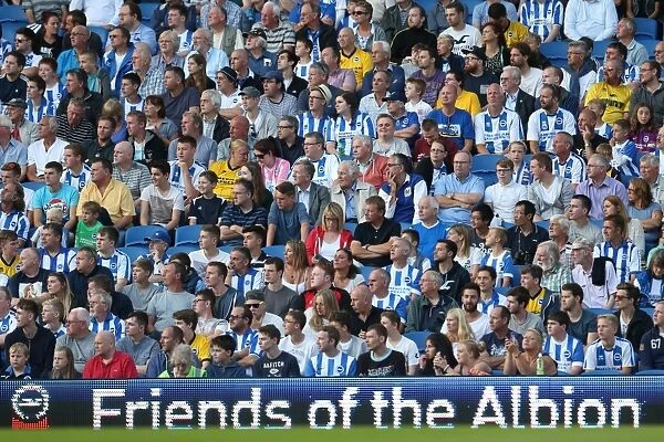 Brighton & Hove Albion FC: Pre-Season Training July 2014