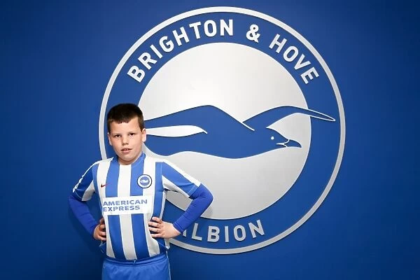 Brighton and Hove Albion FC: Pride of the South Coast