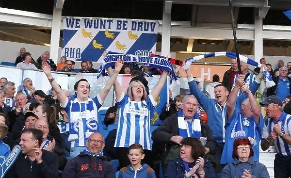 Brighton and Hove Albion FC: A Sea of Colors as Fans Roar Against Huddersfield Town (14APR15)
