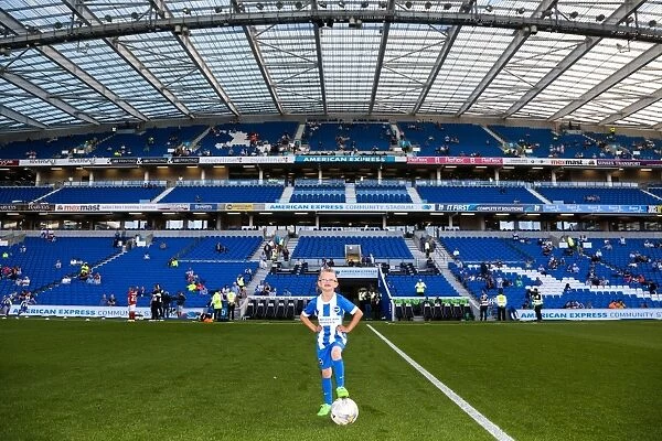 Brighton and Hove Albion FC: The Seagulls in Action