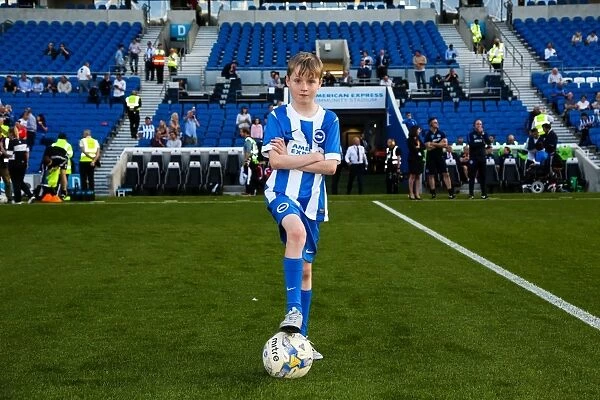 Brighton and Hove Albion FC: The Seagulls in Action