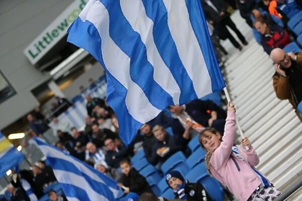 Brighton and Hove Albion FC: A Spectacular Show of Colors by Fans vs Blackburn Rovers (Nov 2014)