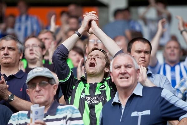 Brighton and Hove Albion FC: Unforgettable Away Days 2012-13 - Electric Crowd Moments