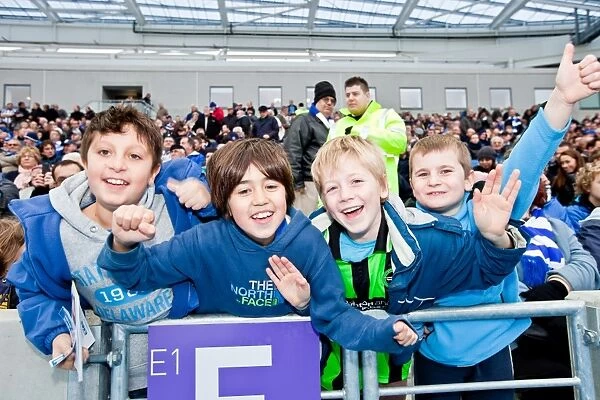 Brighton & Hove Albion FC: Unforgettable Crowd Moments at the Amex Stadium (2011-2012)
