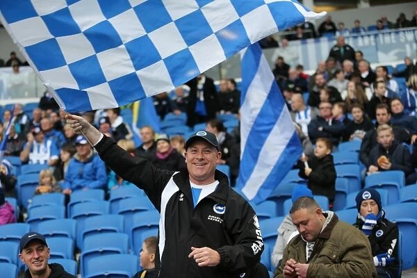 Brighton and Hove Albion FC: Unwavering Fan Support Against Wigan Athletic in Sky Bet Championship (8 November 2014)