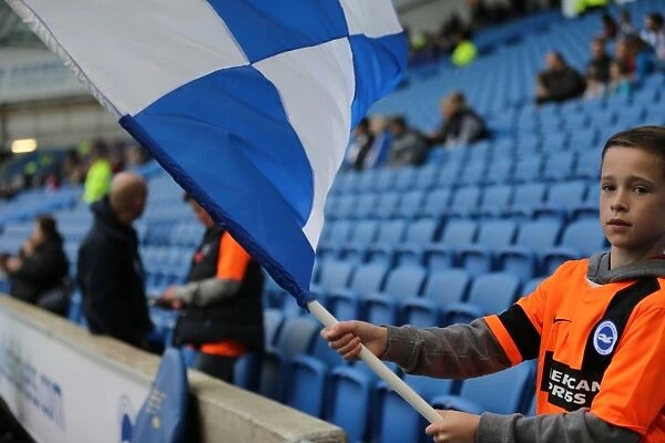 Brighton and Hove Albion FC: Unwavering Fan Support vs. Wigan Athletic (Sky Bet Championship, 8 November 2014)