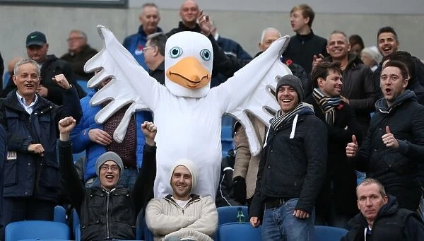 Brighton and Hove Albion FC: Unwavering Fan Support in Sky Bet Championship Clash vs. Blackburn Rovers (November 2014)