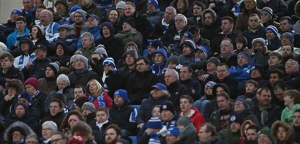 Brighton and Hove Albion FC: Unwavering Fan Support in Sky Bet Championship Clash vs. Nottingham Forest (07FEB15)