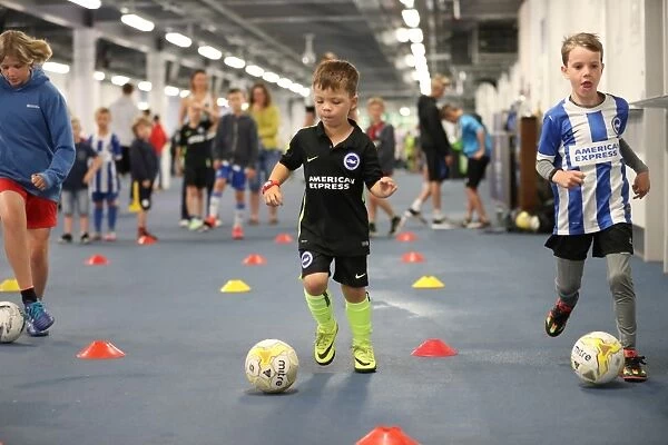 Brighton & Hove Albion FC: Young Seagulls in Training (29th July 2016)