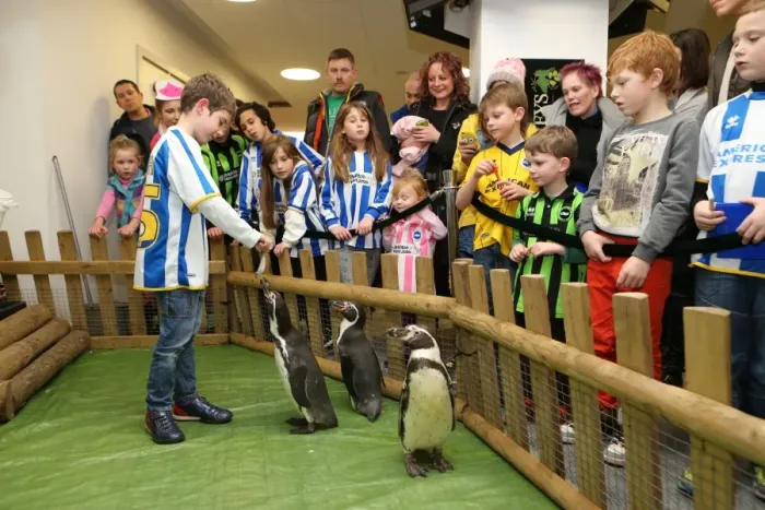 Framed Print : Brighton & Hove Albion FC: Young Seagulls Christmas Party 2013 Framed Print : Brighton & Hove Albion FC: Young Seagulls Christmas Party 2013