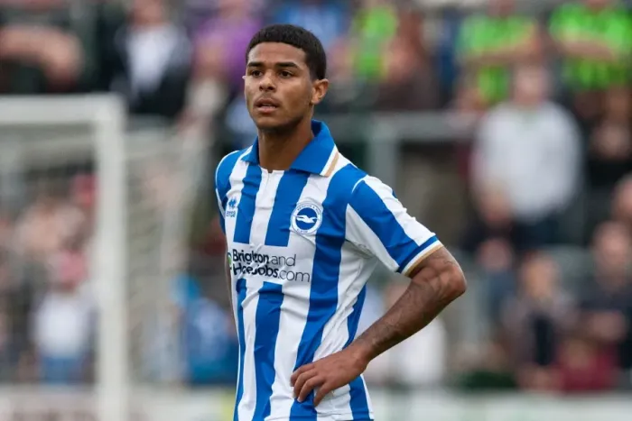 Framed Print : Brighton & Hove Albion: In Focus - Liam Bridcutt Framed Print : Brighton & Hove Albion: In Focus - Liam Bridcutt