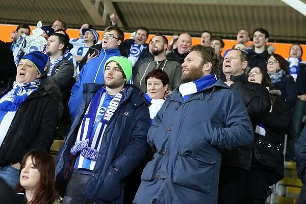 Brighton & Hove Albion at Hull City (Away Game), 24-02-2014