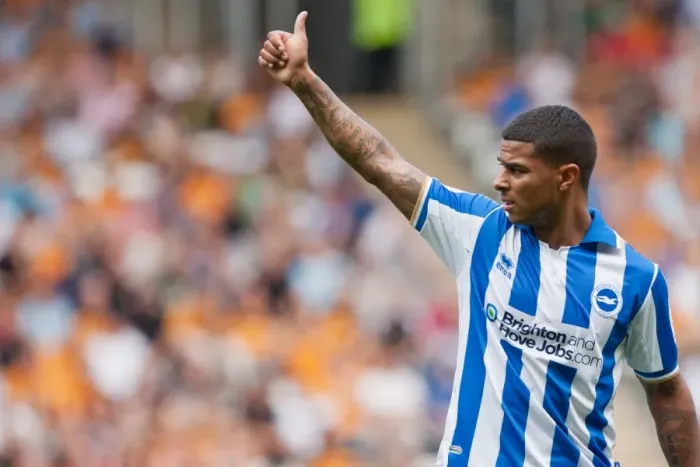 Framed Print : Brighton & Hove Albion: Liam Bridcutt in Action Framed Print : Brighton & Hove Albion: Liam Bridcutt in Action