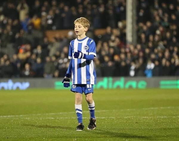 Brighton and Hove Albion Mascot at Fulham's Craven Cottage during Sky Bet Championship Match (December 2014)