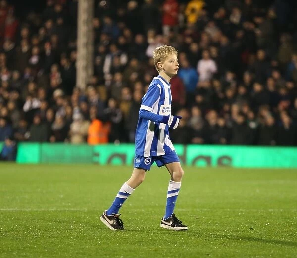 Brighton & Hove Albion Mascot at Fulham's Craven Cottage during Sky Bet Championship Match (29DEC14)