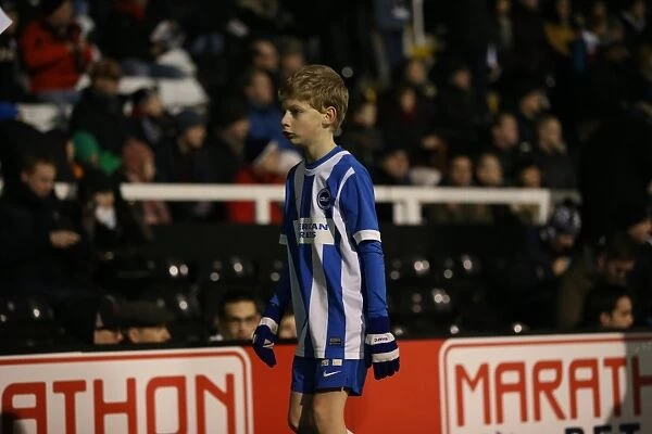 Brighton and Hove Albion Mascot at Fulham's Craven Cottage during Sky Bet Championship Match (29DEC14)