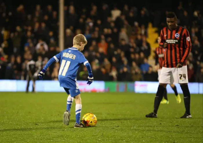 Framed Print : Brighton & Hove Albion Mascot at Fulham's Craven Cottage during Sky Bet Championship Match (29DEC14) Framed Print : Brighton & Hove Albion Mascot at Fulham's Craven Cottage during Sky Bet Championship Match (29DEC14)