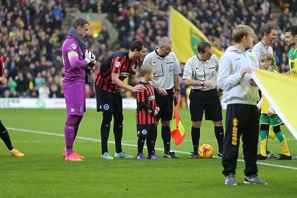 Brighton & Hove Albion Mascot at Norwich City's Carrow Road during Sky Bet Championship Match, 22nd November 2014