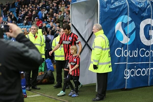 Brighton and Hove Albion Mascot at Sheffield Wednesday's Hillsborough Stadium during Sky Bet Championship Match (14 February 2015)