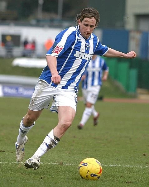 Brighton and Hove Albion: Nick Ward in Action