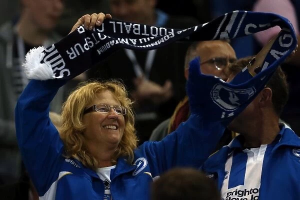 Brighton & Hove Albion: A Nostalgic Look Back at the 2012-13 Home Game vs. Sheffield Wednesday