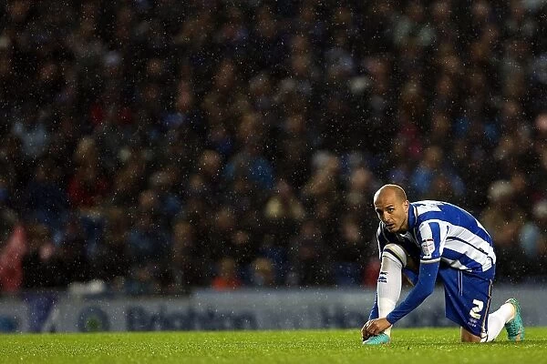 Brighton & Hove Albion: Nostalgic Look Back at the 2012-13 Home Game Against Bolton Wanderers
