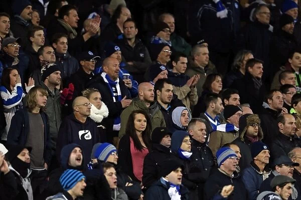 Brighton & Hove Albion: Nostalgic Look Back at the 2012-13 Home Game Against Bristol City