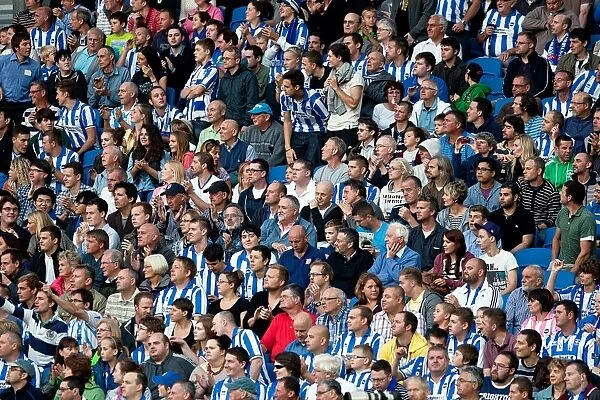 Brighton & Hove Albion: Nostalgic Review of the 2012-13 Home Game Against Cardiff City