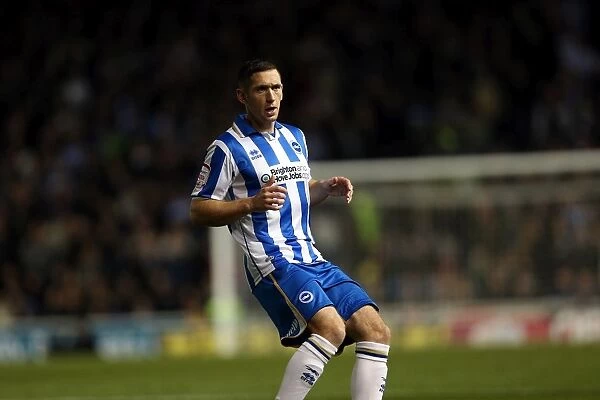 Brighton & Hove Albion: Nostalgic Review of the 2012-13 Home Game Against Leeds United
