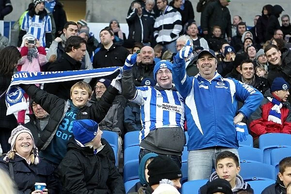 Brighton & Hove Albion: Nostalgic Review of the 2012-13 Home Game Against Bolton Wanderers (24-11-2012)