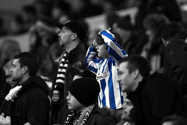 Brighton & Hove Albion: Nostalgic Review of the 2012-13 Home Game Against Bolton Wanderers (Nov. 24, 2012)