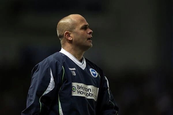 Brighton & Hove Albion: Nostalgic Review of the 2012-13 Home Game Against Bristol City