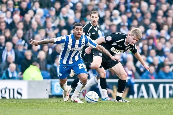 Brighton And Hove Albion Past Seasons: Season 2011-12: 2011-12 Home Games: Ipswich Town - 25-12-2012