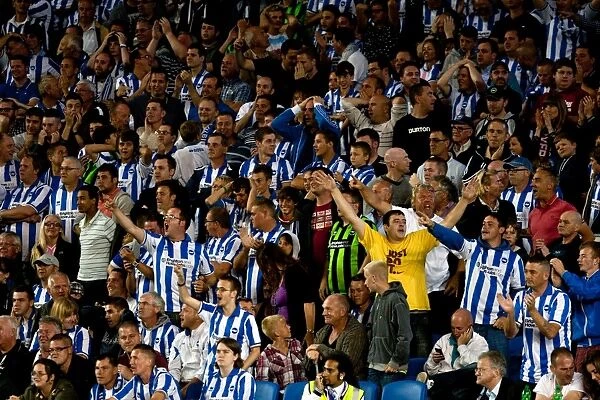 Brighton And Hove Albion Past Seasons: Season 2012-13: 2012-13 Home Games: Cardiff City - 21-08-2012