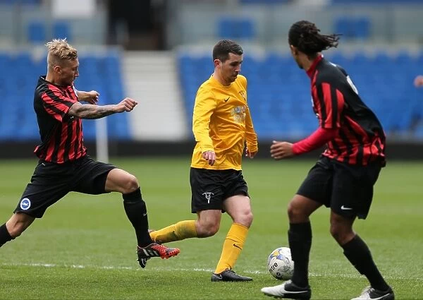 Brighton & Hove Albion: Play on the Pitch - A 2015 Match at American Express Community Stadium