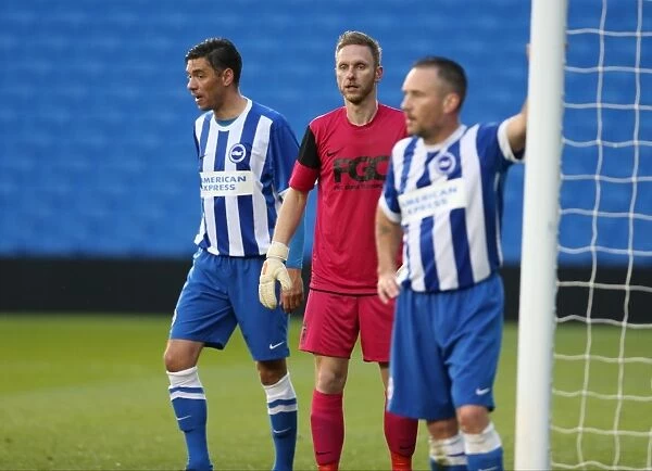 Brighton & Hove Albion: Play on the Pitch - 29 April 2015 at American Express Community Stadium