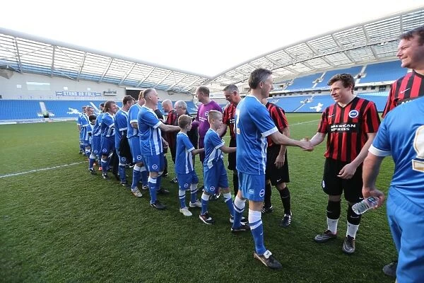 Brighton & Hove Albion: Play on the Pitch - 30 April 2015