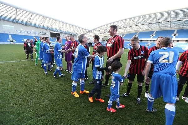 Brighton & Hove Albion: Play on the Pitch - 30 April 2015, American Express Community Stadium